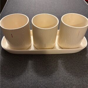 Rae Dunn Cream Ceramic Planter Set
